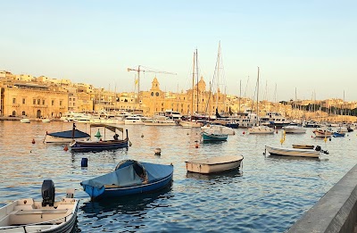 AROY-D-MALTA-2-1.jpg