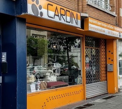 Cardini [Temporarily Closed]
