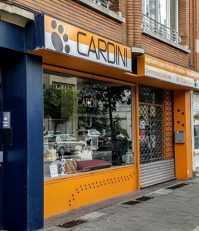 Cardini-1-1.jpg
