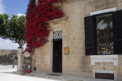 The Mdina Experience