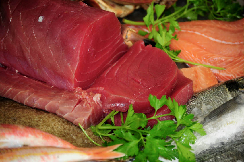 Fresh Maltese tuna displayed on ice, emphasizing its premium quality, rich flavor, and sustainable fishing practices in Malta's Mediterranean waters.