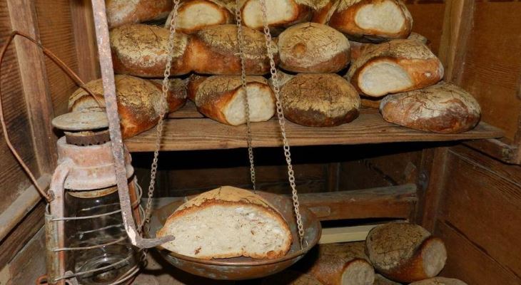 At a traditional Maltese bakery, golden loaves of Ħobż tal-Malti, or Maltese bread, emerge from the rustic stone oven, their crusts perfectly browned and crackling. The aroma of freshly baked bread fills the air, mingling with the scent of savory pastizzi and sweet imqaret. Bakers work diligently amidst flour-dusted countertops, shaping dough with practiced hands, while shelves overflow with an assortment of artisanal breads and pastries. Through the bakery window, sunlight streams in, illuminating the warm, inviting space, where locals gather to partake in the timeless tradition of breaking bread together.