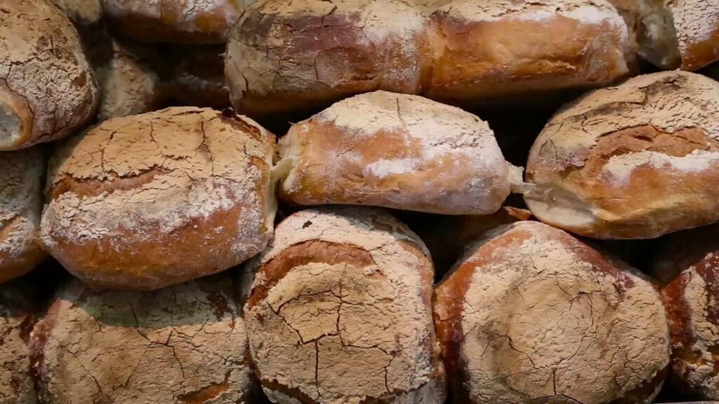 In a rustic Maltese bakery, a batch of freshly baked Ħobż tal-Malti, or Maltese bread, rests on a wooden countertop, its golden crust crackling with texture. The bread loaves, each adorned with the traditional cross-shaped pattern, exude warmth and aroma, evoking memories of timeless family meals and communal gatherings. Surrounding the bread, flour-dusted surfaces and artisanal tools speak to the craft and tradition that goes into creating this beloved staple of Maltese cuisine. Through the bakery window, sunlight bathes the scene, casting a soft glow on the simple yet satisfying pleasure of freshly baked bread.