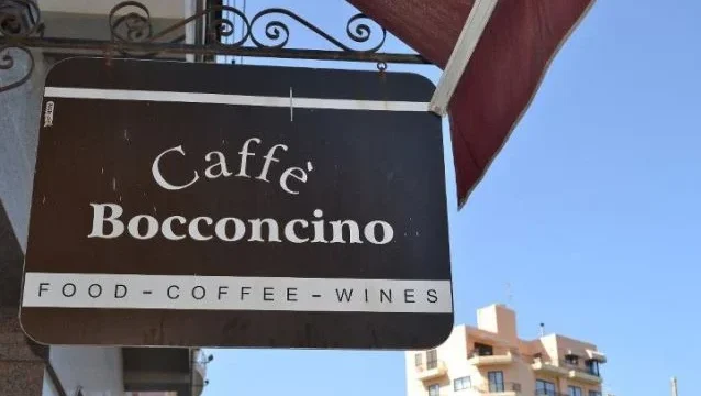 1_bocconcino