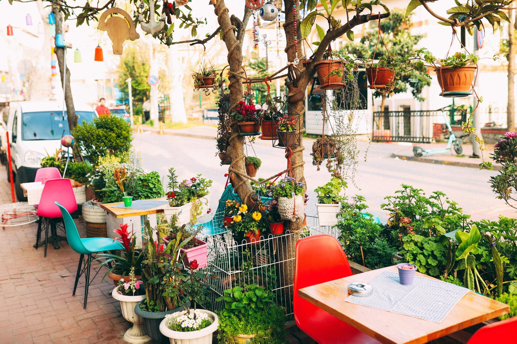 Savour the Green Revolution: Exploring Malta’s Plant-Based Dining Scene 🌿